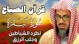 سورة البقرة كاملة فضيلة الشيخ سعود الشريم ✦ surah baqarah saud shuraim