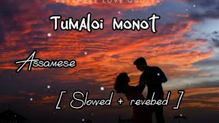 Tumaloi monot || Slowed reverbed || Kalpashi \u0026 gayan meghali || chinmoy