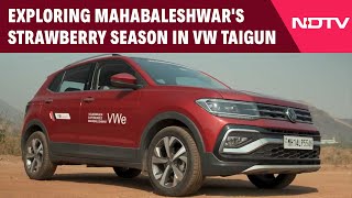 Volkswagen Tiguan | Experiencing The Strawberry Season In A VW Taigun In Mahabaleshwar