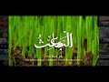 Xadidja Magomedova   Asma ul Husna 99 Names of Allah