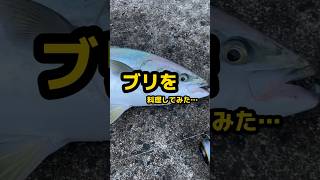 【自分で釣ったブリを料理してみた…】#ぶり #ジギング #料理 #釣り #shorts #fishing