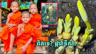 រំភើប ក្រោយឃើញវីដេអូ នេនតូចសីហា មួយនេះ...ផ្ការាំទឹករាំ ប្រើជាឱសថព្យាបាល