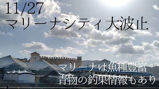 【和歌山インター店】11/27 (日) マリーナシティ大波止リアルタイム 和歌山釣果見聞録