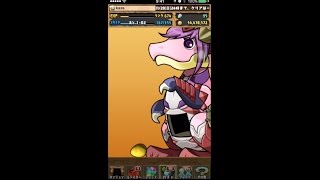 [パズドラ] ナヴィちゃん狙い！フェア限ヒロインガチャ10+1連！