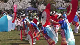 よさこい飯能乱舞　あけぼの２０１８春祭り【４Ｋ】