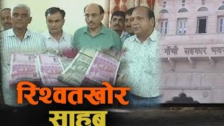 सहकारी उपभोक्ता समिति के महाप्रबंधक को साढ़े पांच लाख की घूस लेते किया गिरफ्तार | Jodhpur News