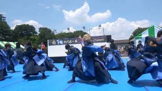 よさこい＠下町ハイボールフェス ～ 北里大学よさこいチーム北里三陸湧昇龍