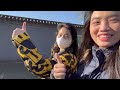 vlog 5 没课？当然是要出去玩啦！