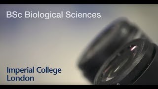 Biological Sciences BSc - Imperial College London