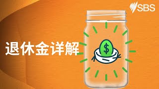 Mandarin: Superannuation Explained | Explainer Video | Settlement Guide