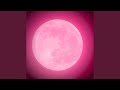 Pink Moon