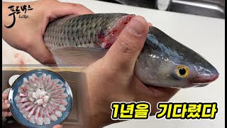 1년을 기다린  가성비 끝판왕!  곧 시즌 아웃... 놓치면 후회합니다!