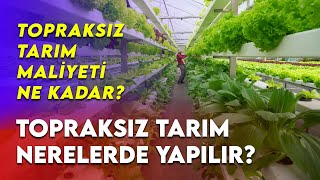 Topraksız tarım nerelerde yapılır? Topraksız tarım maliyeti ne kadar?