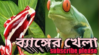 #ব্যাঙের খেলা অসাধারণ দৃশ্য_বৃষ্টির মধ্যে#Traveller Dash Tv_আপনার চ্যানেল l