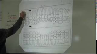 DATV- Periodontal Charting