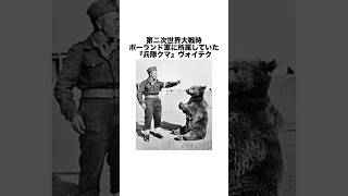 『兵隊クマ』ヴォイテクに関する雑学　#shorts #人物史 #雑学