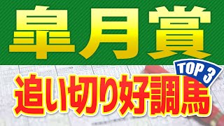 【皐月賞2023年】追い切りが好調だった「トップ3」はこの馬だ🐴 一週前と最終追い切り、馬体診断や共同記者会見、東スポインタビューからシミュレーション ～JRA競馬予想～ ペラジオオペラが絶好調