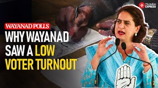 Wayanad, where Priyanka made poll debut, records lowest-ever voter turnout