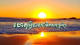 ផែនដីឡើងកម្ដៅធ្វើឲ្យទឹកកកតំបន់ប៉ូលរលាយ