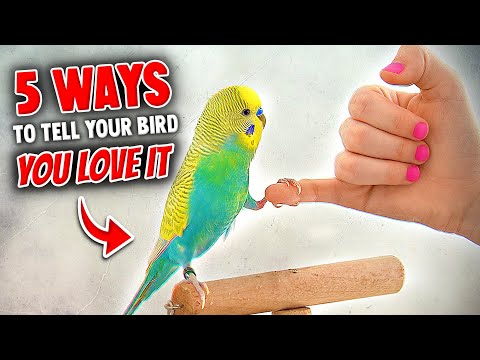 What do you call someone who loves birds?