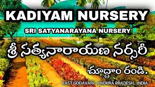 KADIYAM NURSERY. SRI SATYANARAYANA NURSERY. EAST GODAVARI. ANDHRA PRADESH. INDIA.