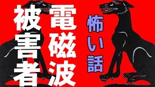 【怖い話】電磁波被害者【朗読、怪談、百物語、洒落怖,怖い】