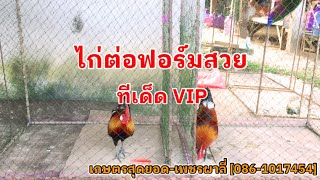 ไก่ต่อฟอร์มสวย ชุด ทีเด็ด VIP | วันที่ 13 ตุลาคม 2567 | เกษตรสุดยอด-เพชรผาลี่ [086-1017454]