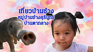 เที่ยวหมู่บ้านช้างใช้เงินกี่บาท | บ้านตากลาง | ศูนย์คชศึกษา