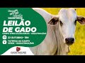 🌟LEILÃO DE GADO CAMPO VERDE LEILÕES -  IGARATINGA/MG🎥