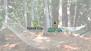 ハンモックの森（なべくら高原・森の家）@長野県飯山市 Forest of Hammock in Iiyama City, Nagano