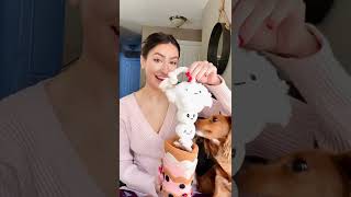 Trying Injoya Boba time snuffle toy!