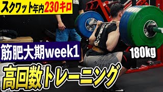 【スクワット】遂に始動...!! 筋肥大期の高回数トレーニングで10RM更新を目指す!! 年内に230キロを目指すトレーニング計画についても解説。最強脚トレ!!