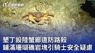 墾丁設陸蟹廊道防路殺 鋪滿珊瑚礁岩塊引騎士安全疑慮｜20240415 公視晚間新聞