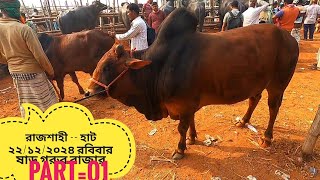 রাজশাহী --হাটে আজ ২২/১২/২০২৪ রবিবার ষাড় গরুর বাজার আপডেট জানুন part=01