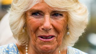 Brits Poll Results On True Feelings About Camilla's New Title