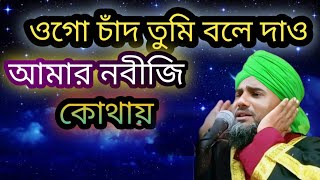 ওগো চাঁদ তুমি বলে দাও আমার নবীজি কোথায়//আমিনুদ্দিন গজল//aminuddin gojol