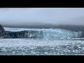 Glacier Bay National Park - Gustavus, Alaska ❄️🛥 🌊 🦭🌳🚲