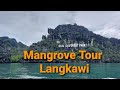 Mangrove Tour Langkawi 14 Nov 2021