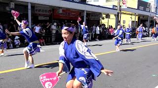 湘南なぎさ連  横須賀 おっぱままつり2018 本部前流し踊り