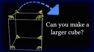 A Fascinating Frog Puzzle
