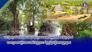 កោះព្រហ្មចារី ជាតំបន់សហគមន៍អេកូទេសចរណ៍ធម្មជាតិដ៏មានសក្តានុពល ខណៈប្រធានមន្ទីរទេសចរណ៍ខេត្តក្រចេះ ជំរុញ