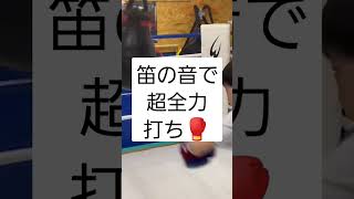 キッズボクサー🥊琉星🌟笛の音で超全力サンドバッグ打ち⁉️　#shorts #short #boxing #小学生