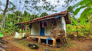 NIAT KURING Silaturahmi Ke Rumah Janda Di Kampung Tasikmalaya, Sederhana Tapi Luar Biasa Bikin Betah