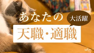 あなたの天職・適職🔮タロット占いで占うあなたに向いているお仕事😀転職や就活時に参考にしていただけたら幸いです！