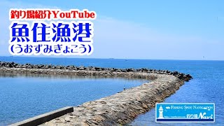 魚住漁港の釣り場紹介｜釣り場Navi