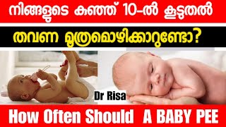 How Often Should a Baby Pee|Baby Care Tips  Malayalam