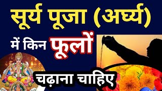 सूर्य पूजा में या अर्घ्य में कौनसे फूल चढ़ाने चाहिए | Surya Dev Ko Kaunse Phool Chadhate Hai | Surya