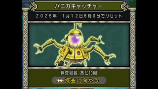 【ドラクエ10】　25/01/07　パニガキャッチャー：僧侶　パニガルム周回