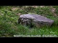 戦国時代の山城 杉山城跡 埼玉県嵐山町