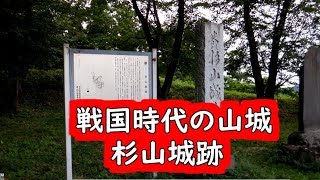 戦国時代の山城  杉山城跡  埼玉県嵐山町